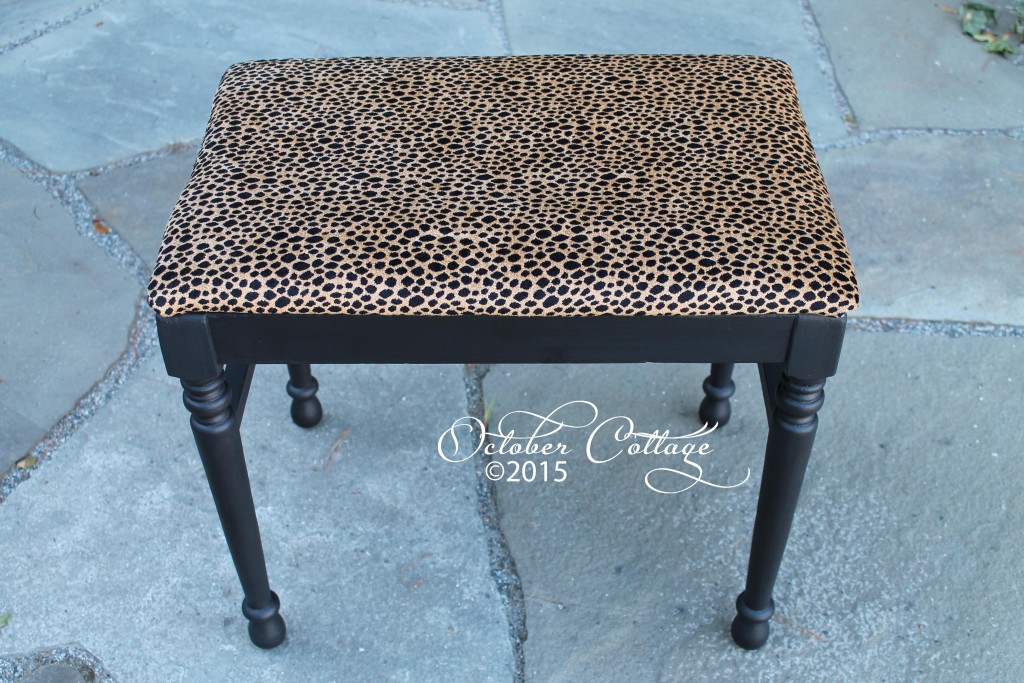 Leopard bench IMG_1674